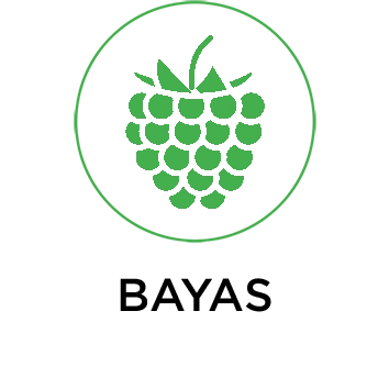 BAYAS